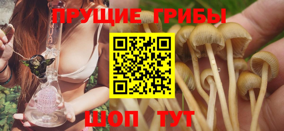 Псилоцибиновые грибы Psilocybe  Галлюциногенные грибы мицелий  где купить   Сызрань  Вход с VPN 